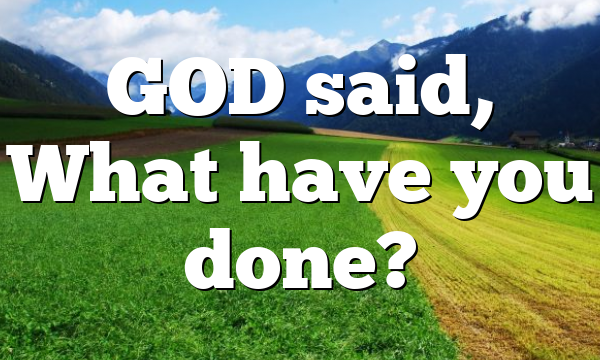 GOD said,  What have you done?