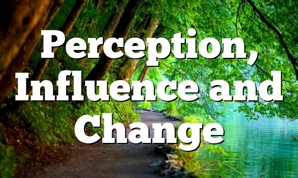 Perception, Influence and Change