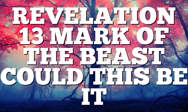 REVELATION 13  MARK OF THE BEAST COULD THIS BE IT