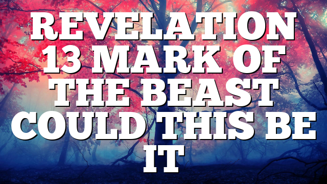 REVELATION 13  MARK OF THE BEAST COULD THIS BE IT
