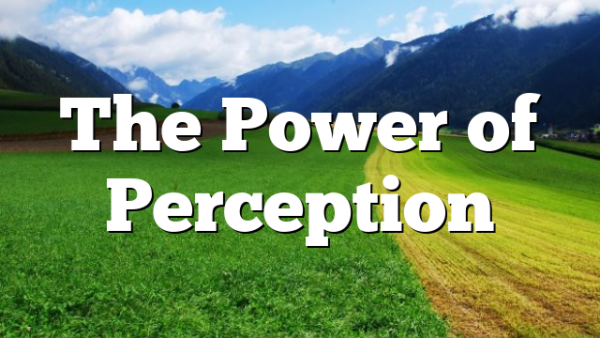 The Power of Perception