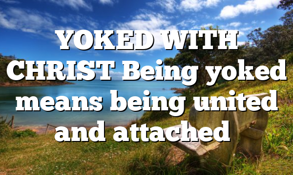 YOKED WITH CHRIST Being yoked means being united and attached…