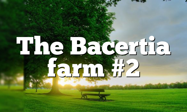 The Bacertia farm #2