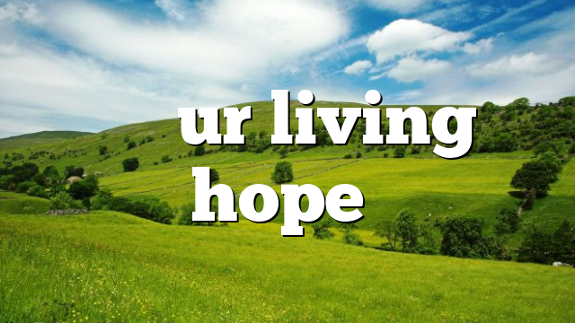 “…our living hope”