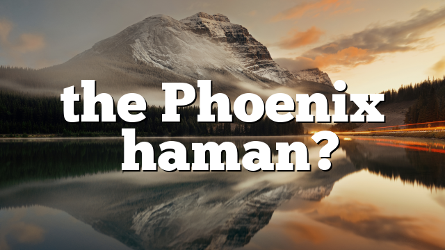 the Phoenix “shaman?”
