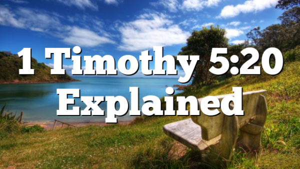 1 Timothy 5:20 Explained