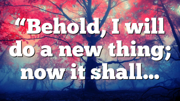 “Behold, I will do a new thing; now it shall…