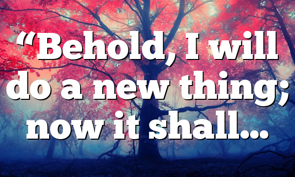“Behold, I will do a new thing; now it shall…