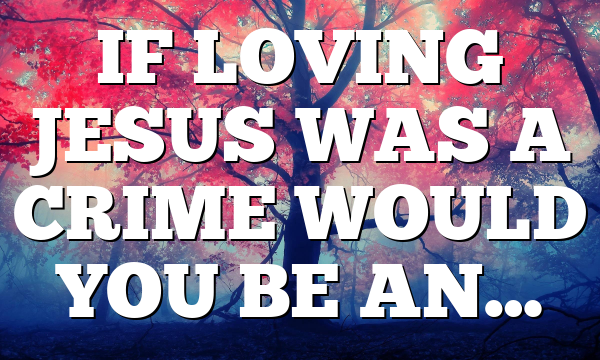 IF LOVING JESUS WAS A CRIME WOULD YOU BE AN…