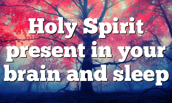 Holy Spirit present in your brain and sleep