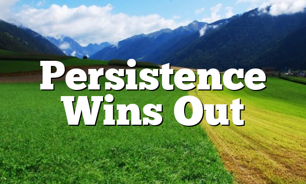 Persistence Wins Out