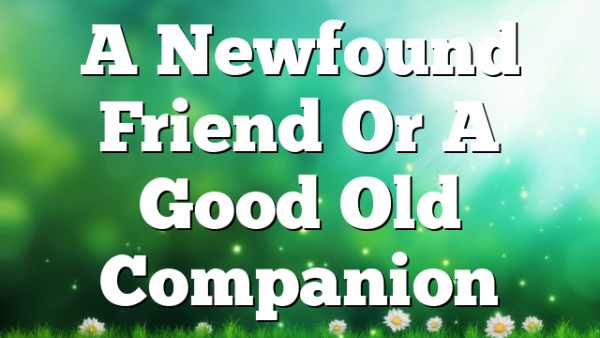 A Newfound Friend Or A Good Old Companion