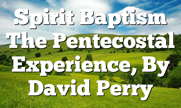 Spirit Baptism  The Pentecostal Experience, By David Perry