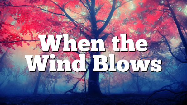 When the Wind Blows