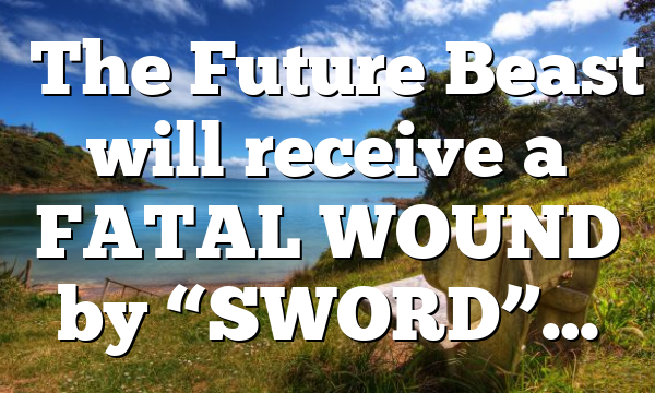 ◄The Future Beast will receive a FATAL WOUND by “SWORD”…