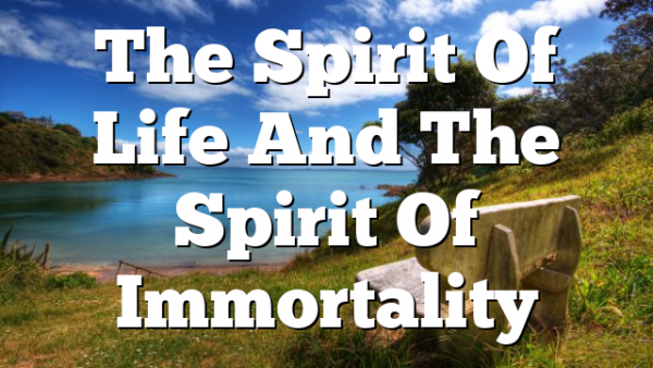 The Spirit Of Life And The Spirit Of Immortality