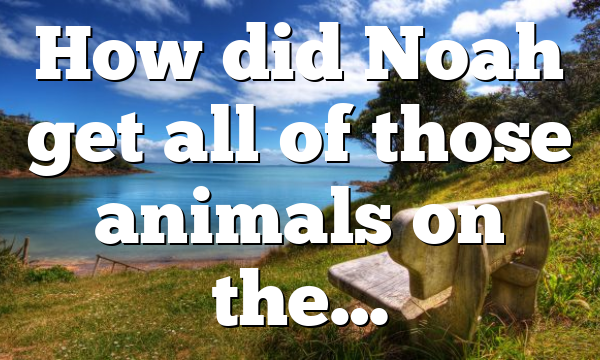 How did Noah get all of those animals on the…