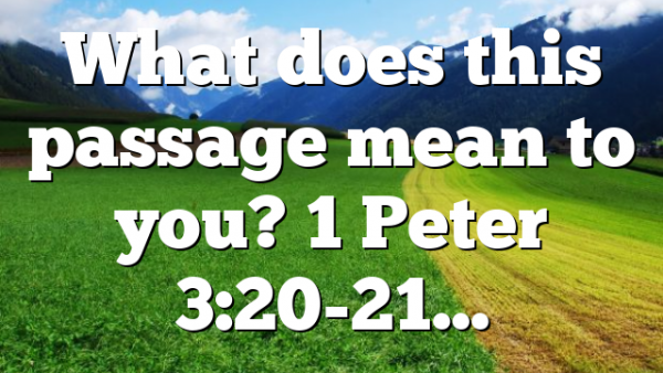 What does this passage mean to you? 1 Peter 3:20-21…