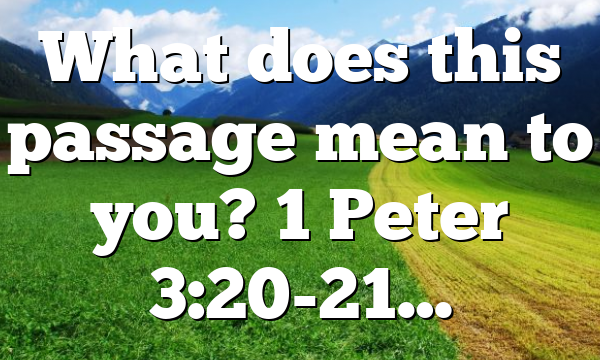 What does this passage mean to you? 1 Peter 3:20-21…