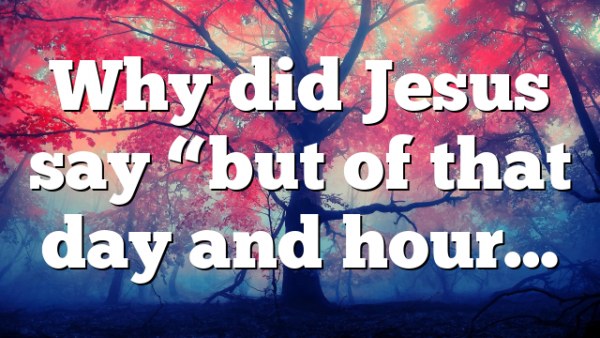 Why did Jesus say “but of that day and hour…