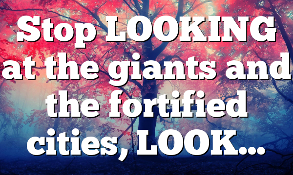 Stop LOOKING at the giants and the fortified cities, LOOK…