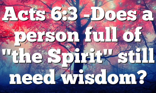 Acts 6:3 -Does a person full of "the Spirit" still need wisdom?