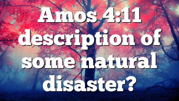 Amos 4:11 description of some natural disaster?