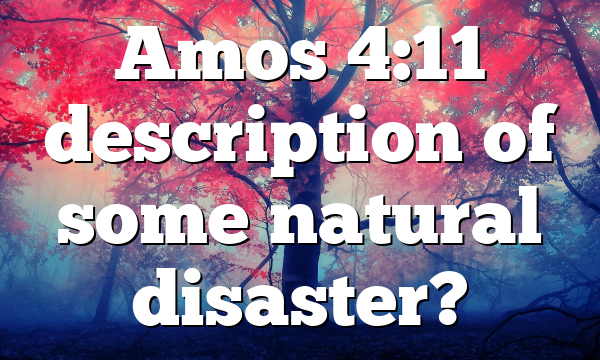Amos 4:11 description of some natural disaster?