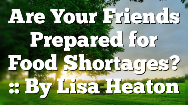 Are Your Friends Prepared for Food Shortages? :: By Lisa Heaton