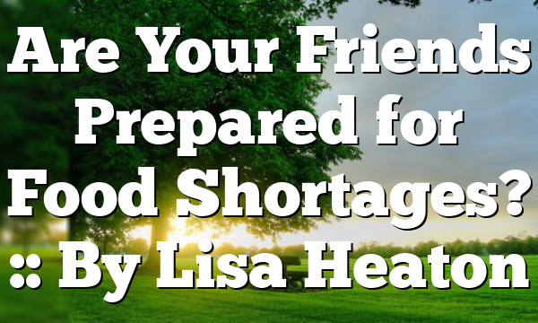 Are Your Friends Prepared for Food Shortages? :: By Lisa Heaton