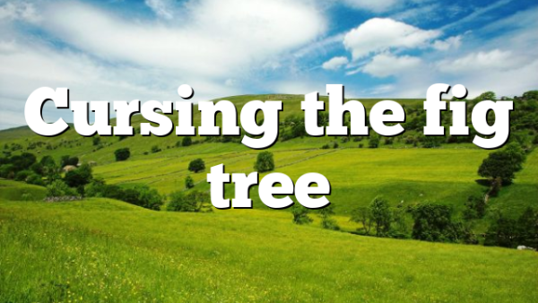 Cursing the fig tree
