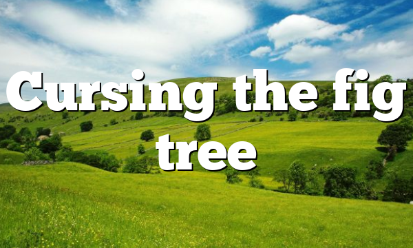 Cursing the fig tree