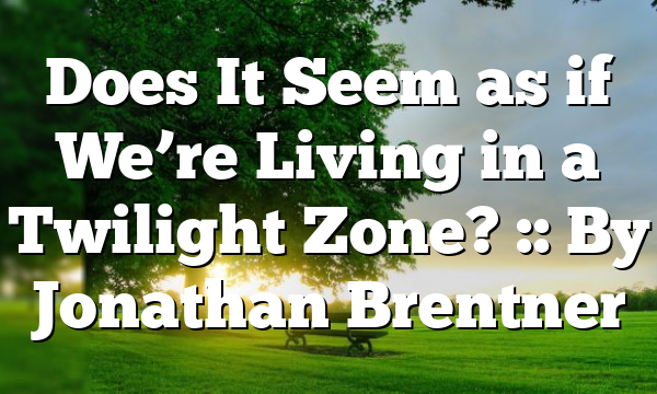 Does It Seem as if We’re Living in a Twilight Zone? :: By Jonathan Brentner