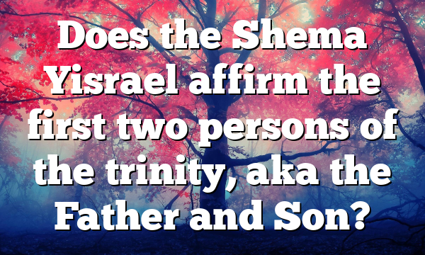 Does the Shema Yisrael affirm the first two persons of the trinity, aka the Father and Son?