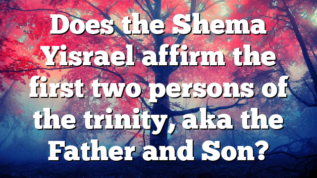Does the Shema Yisrael affirm the first two persons of the trinity, aka the Father and Son?
