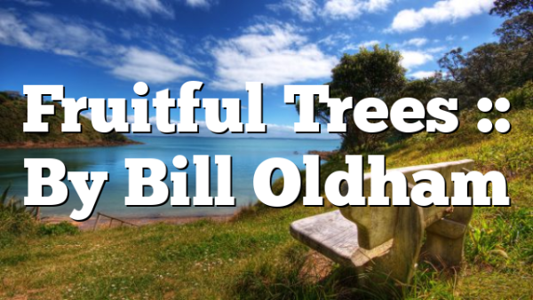 Fruitful Trees :: By Bill Oldham