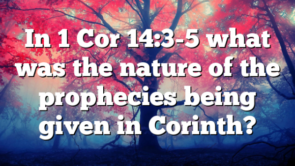 In 1 Cor 14:3-5 what was the nature of the prophecies being given in Corinth?