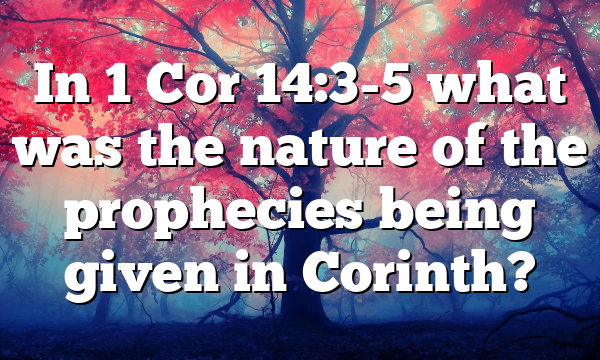 In 1 Cor 14:3-5 what was the nature of the prophecies being given in Corinth?
