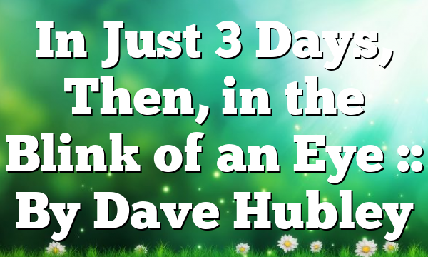 In Just 3 Days, Then, in the Blink of an Eye :: By Dave Hubley