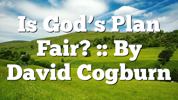 Is God’s Plan Fair? :: By David Cogburn