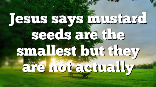 Jesus says mustard seeds are the smallest but they are not actually