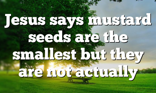 Jesus says mustard seeds are the smallest but they are not actually