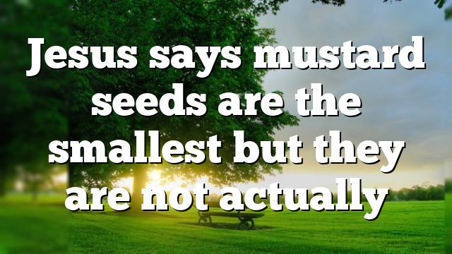 Jesus says mustard seeds are the smallest but they are not actually