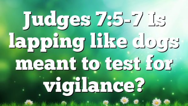 Judges 7:5-7 Is lapping like dogs meant to test for vigilance?