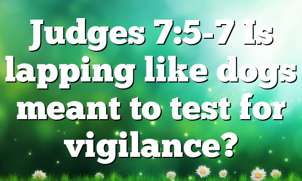 Judges 7:5-7 Is lapping like dogs meant to test for vigilance?