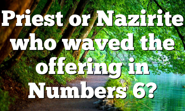 Priest or Nazirite who waved the offering in Numbers 6?