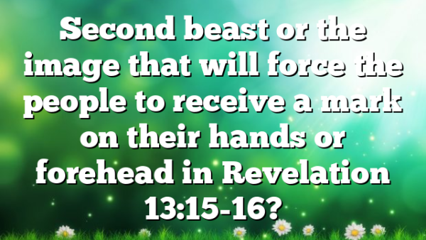 Second beast or the image that will force the people to receive a mark on their hands or forehead in Revelation 13:15-16?