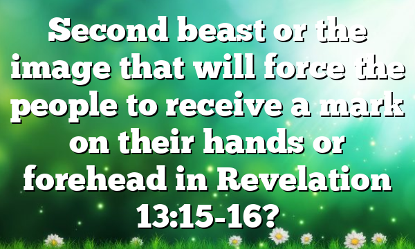 Second beast or the image that will force the people to receive a mark on their hands or forehead in Revelation 13:15-16?