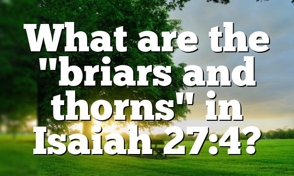 What are the "briars and thorns" in Isaiah 27:4?