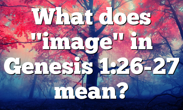 What does "image" in Genesis 1:26-27 mean?